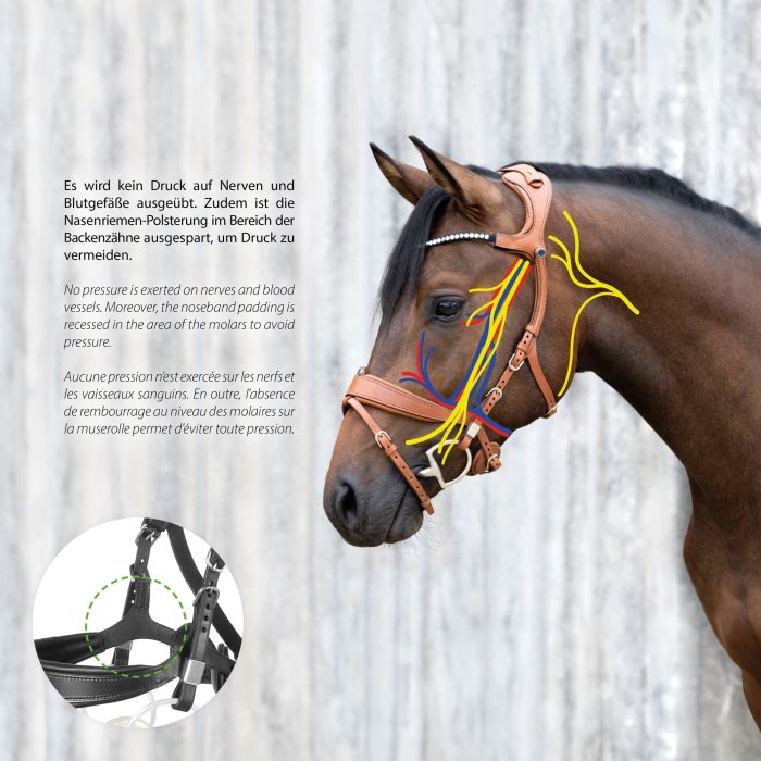 Stubben Freedom II with Magic Tack Slide & Lock