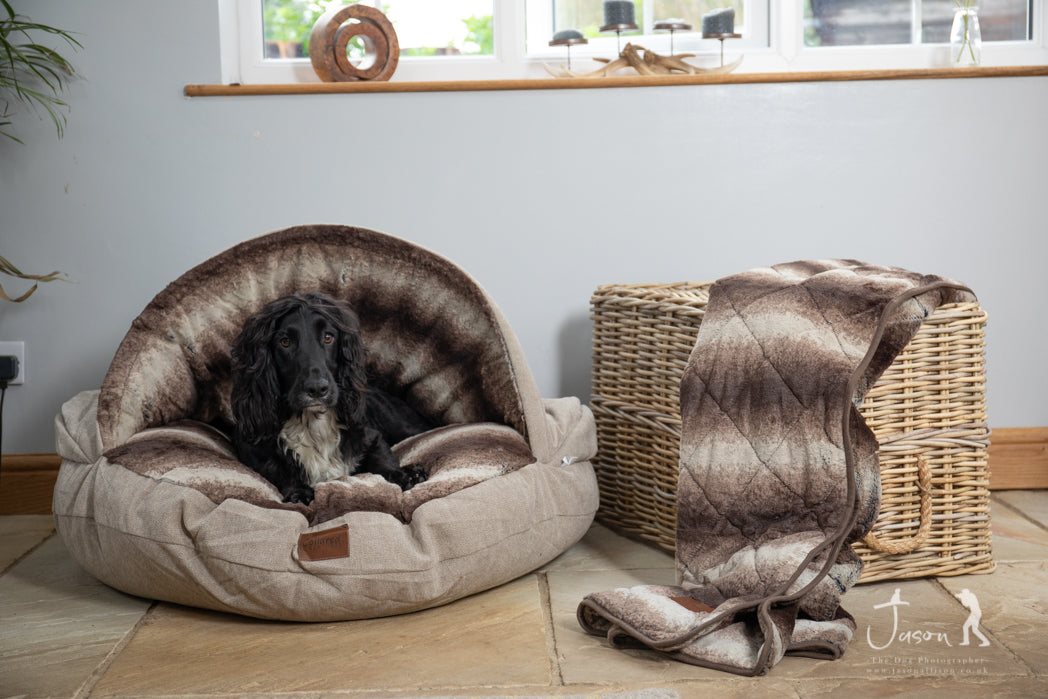 Collared Creatures Luxury Dog Cave Bed with removable Rigid Hood