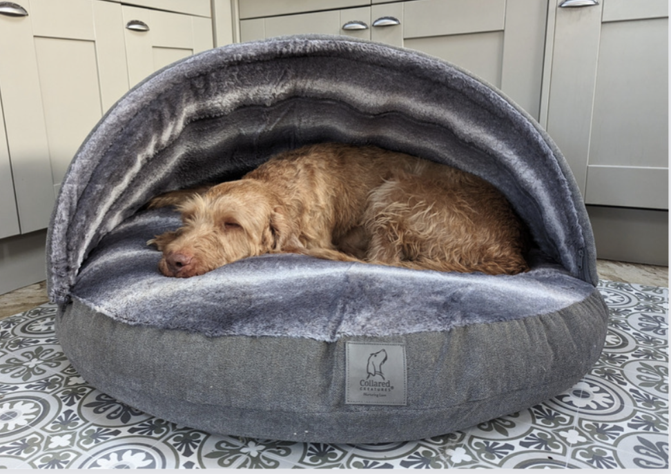 Dog best sale cave bed