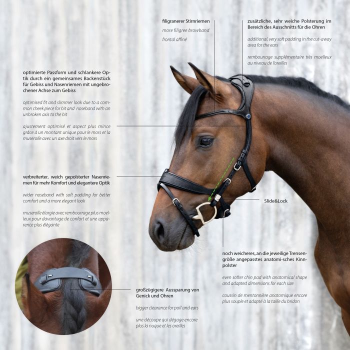 Stubben Freedom II with Magic Tack Slide & Lock