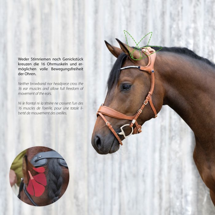 Stubben Freedom II with Magic Tack Slide & Lock