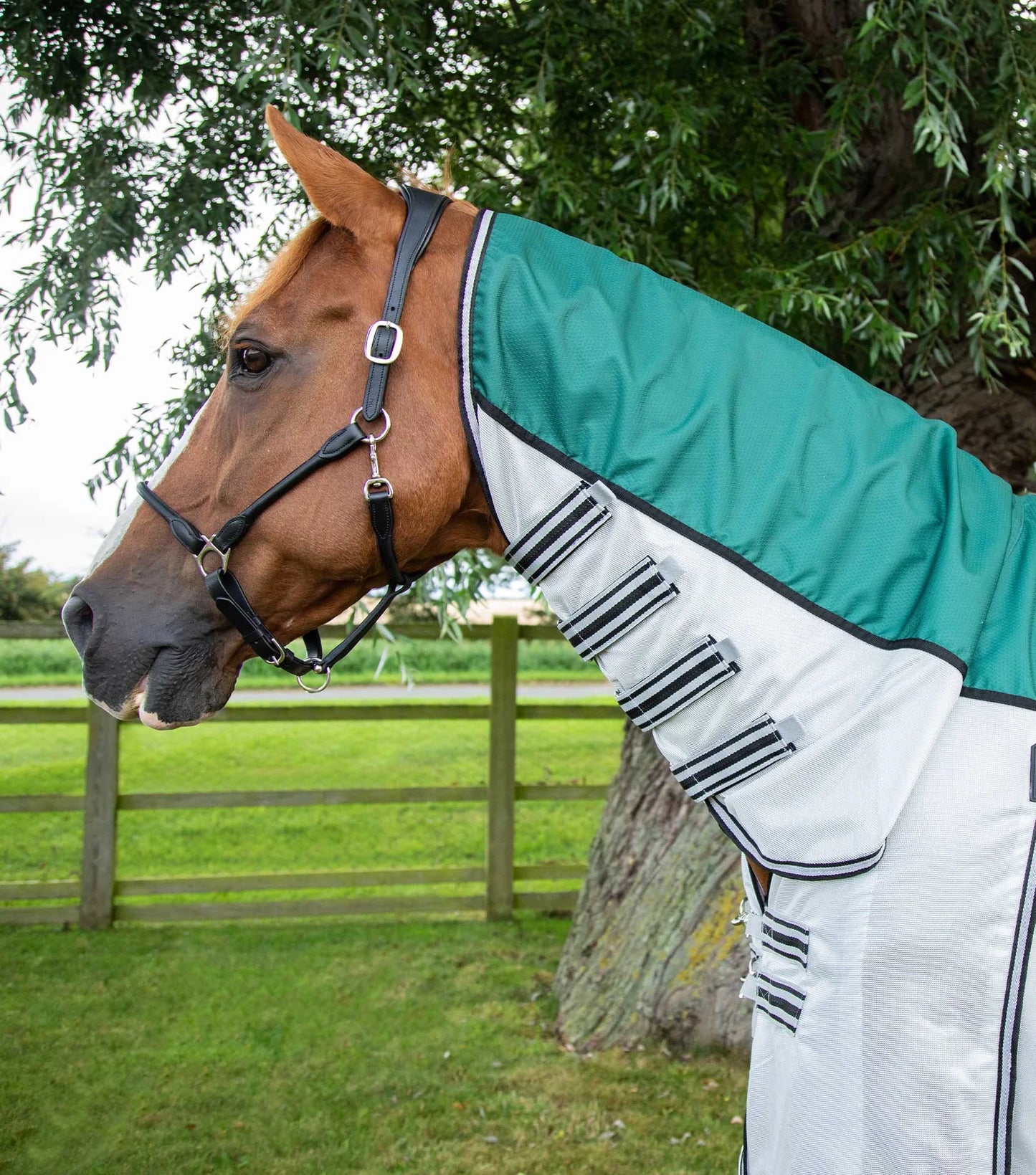 Premier Equine ShowerTex Fly Rug