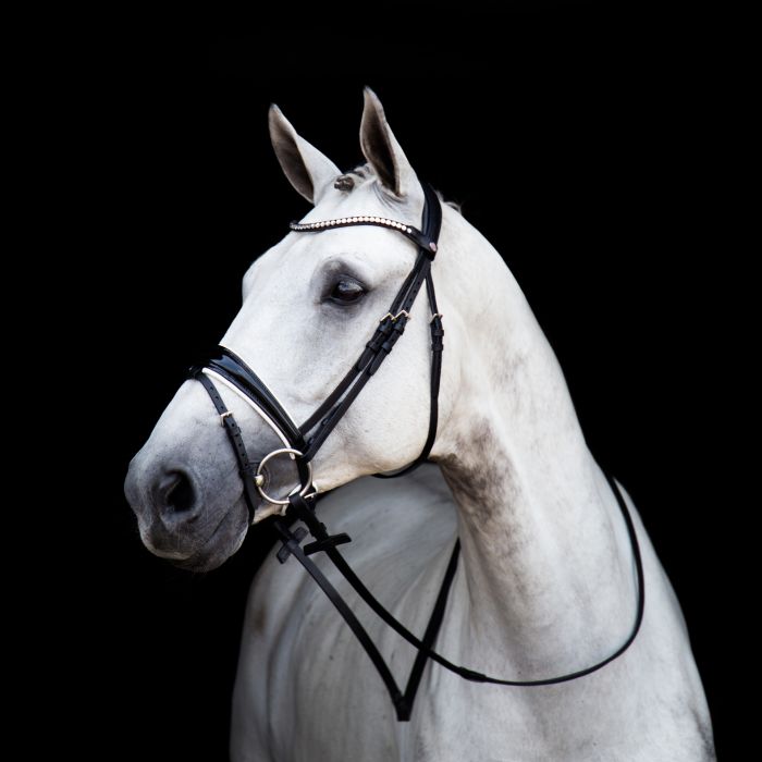 Stubben Switch Bridle with Magic Tack