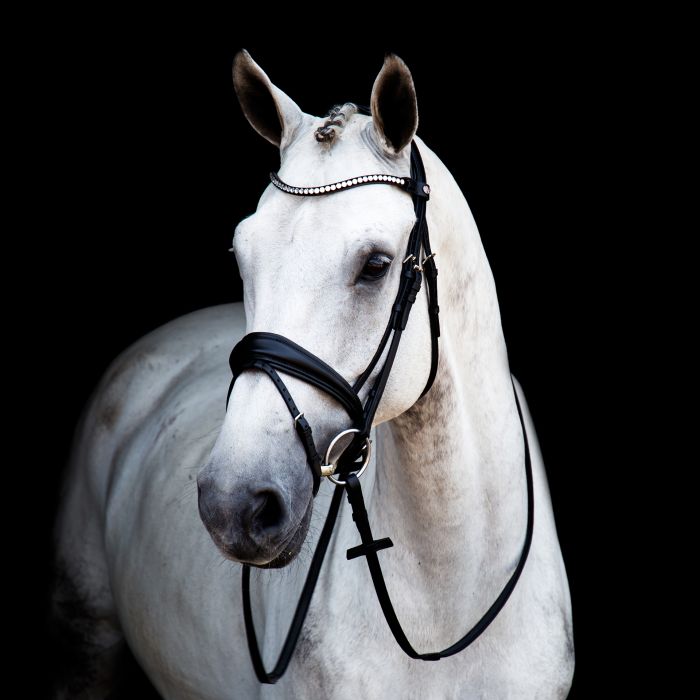 Stubben Switch Bridle with Magic Tack