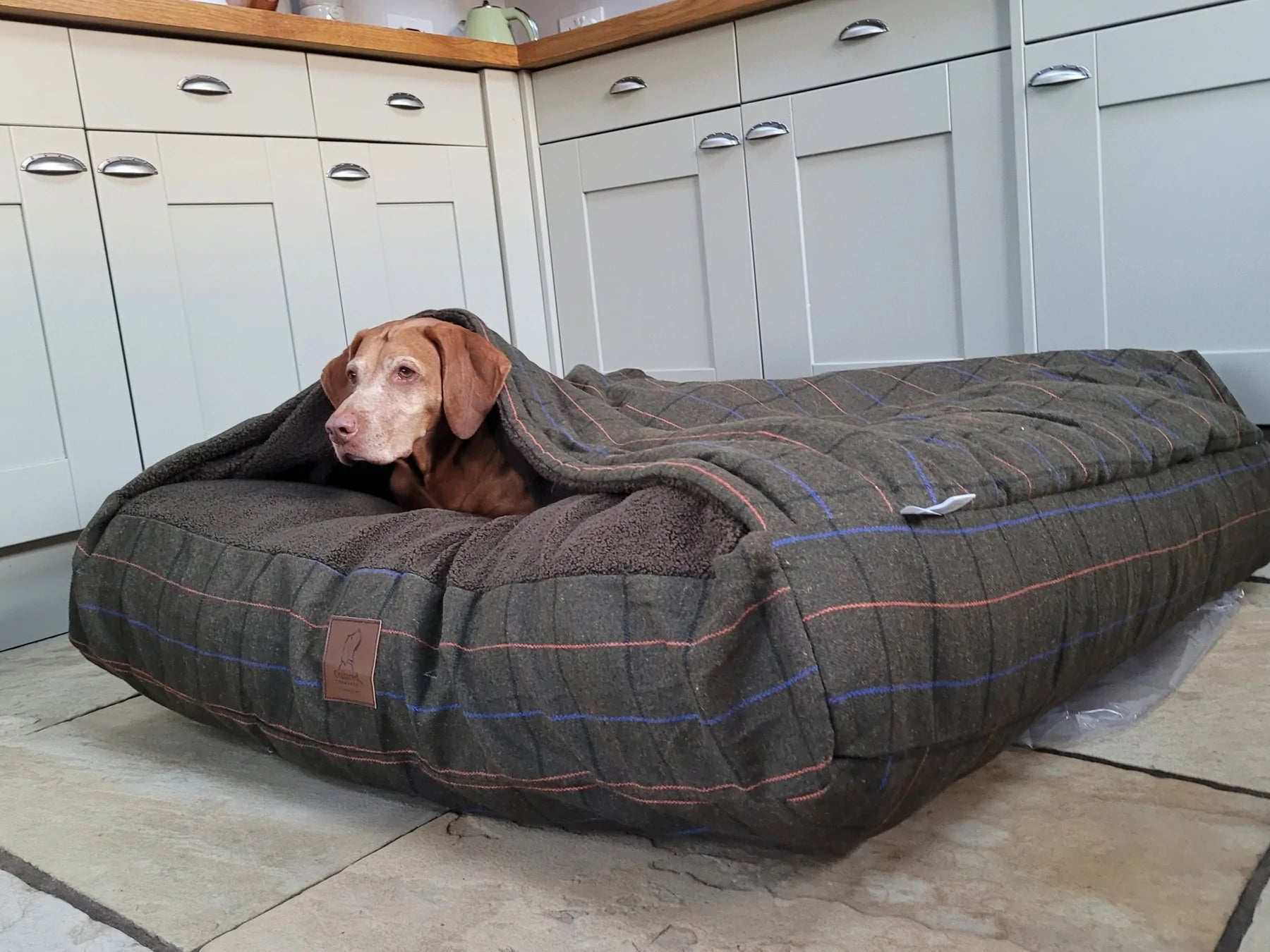 Collared Creatures Luxury Snuggle Bed Snuggle Sack A2B Equestrian Safety Centre