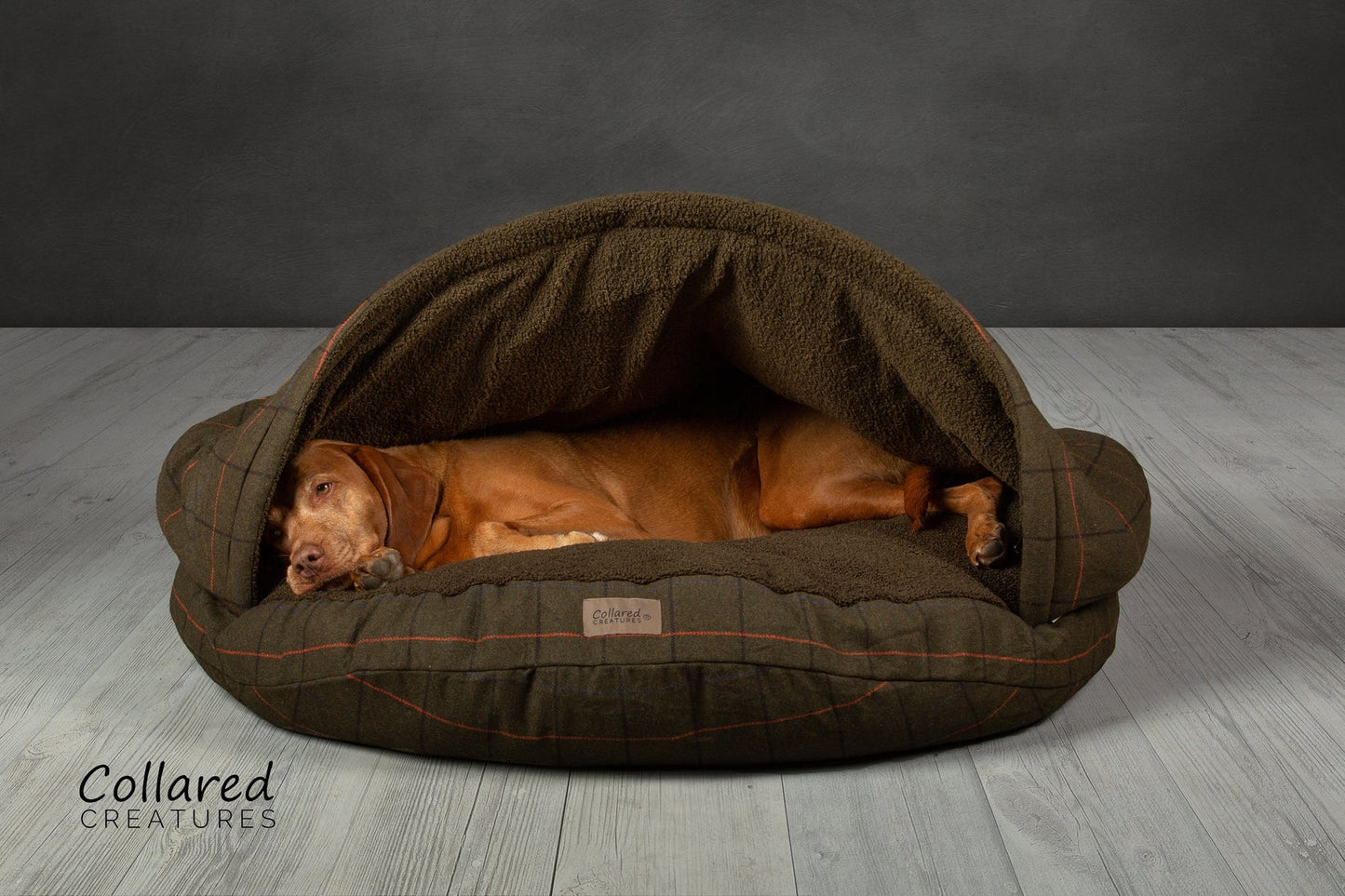Collared Creatures Luxury Dog Cave Bed with removable Rigid Hood