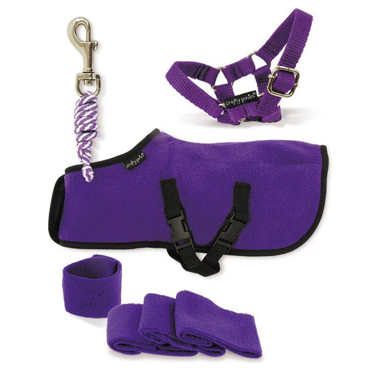 Crafty Pony Rug Set - Purple