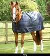 Premier Equine 200g Horse Rug Liner - Black