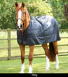 Premier Equine 100g Horse Rug Liner - Black