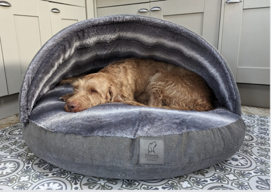 Collared Creatures Luxury Dog Cave Bed with removable Rigid Hood
