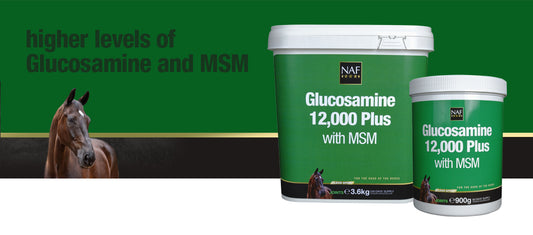 NAF GLUCOSAMINE 12,000 PLUS WITH MSM