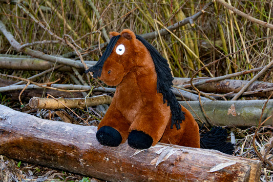 Crafty Pony Bay