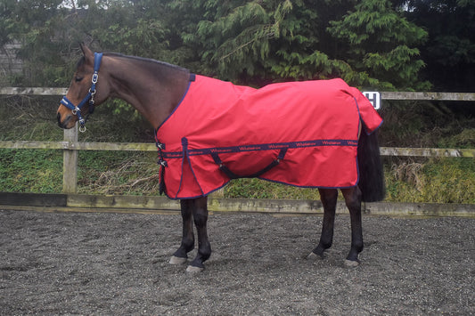 WHITAKER KIRKBY TURNOUT RUG 100 GM RED
