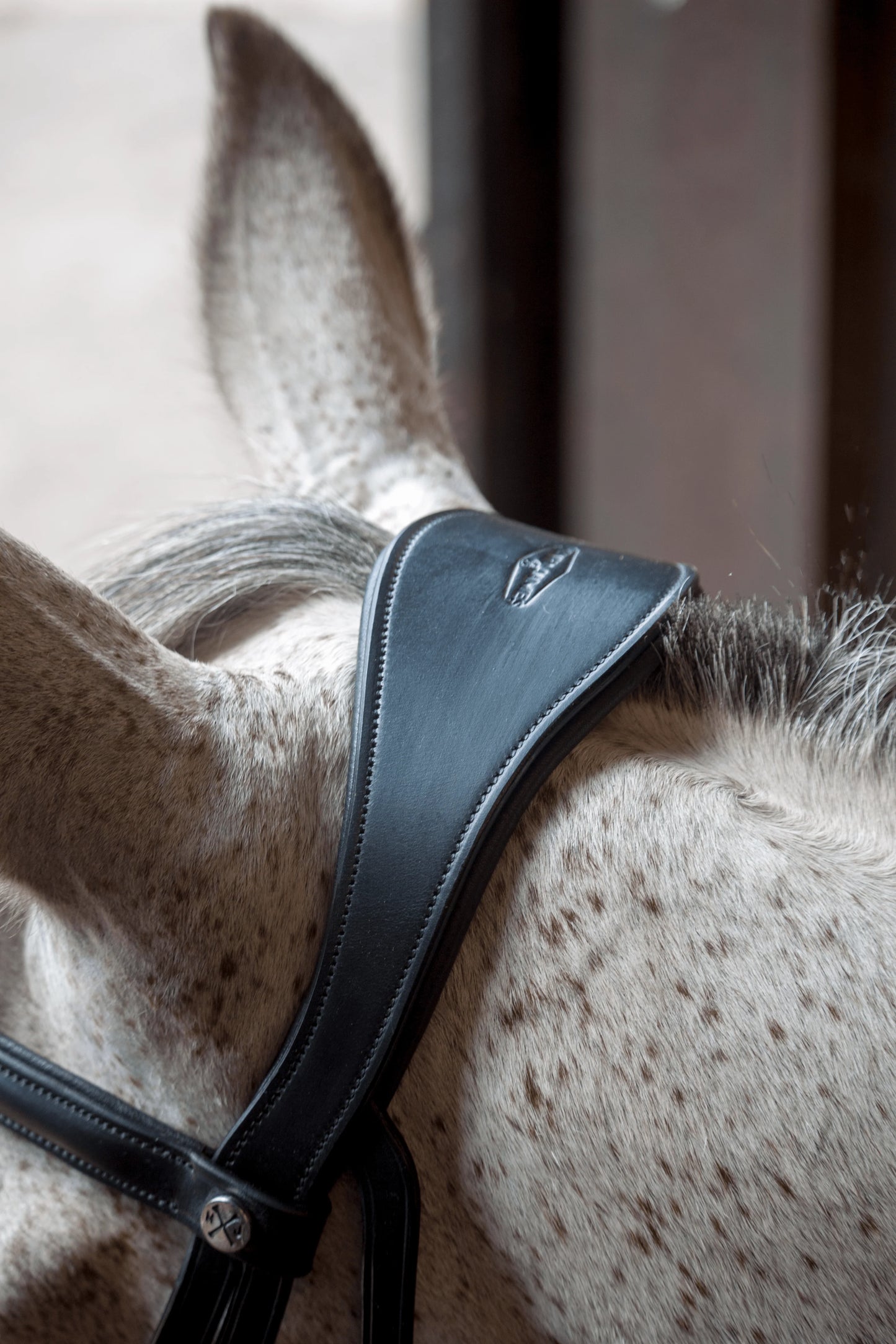 Henry James Dressage Bridle